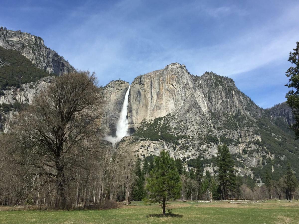 피시캠프 Carriage House At Yosemite 빌라 외부 사진